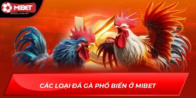 đá gà