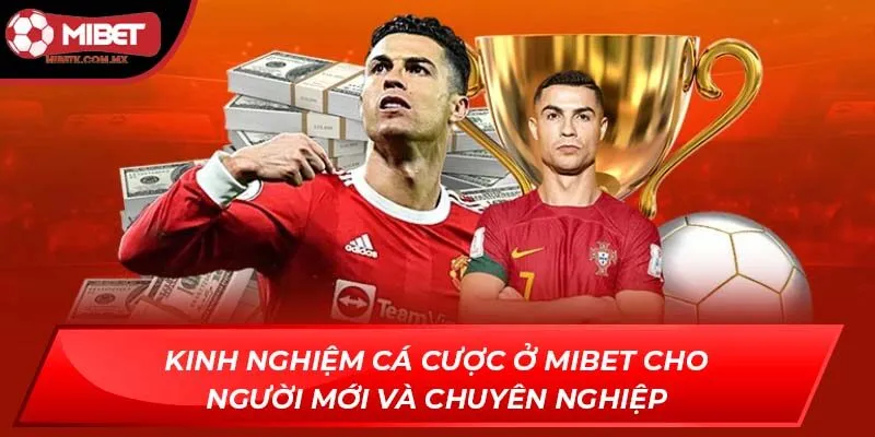 kinh nghiệm cá cược