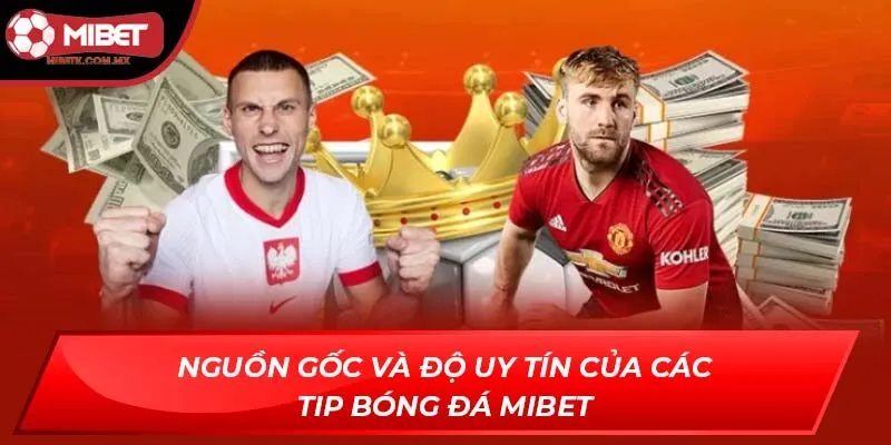 Tip bóng đá