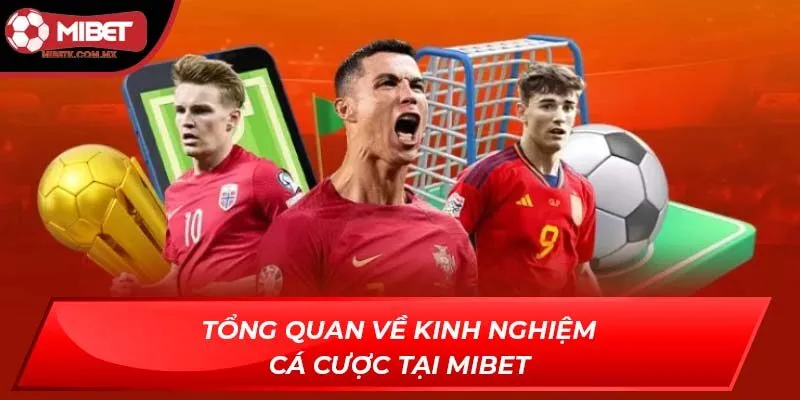 kinh nghiệm cá cược