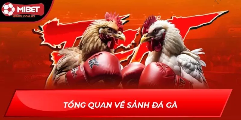 đá gà