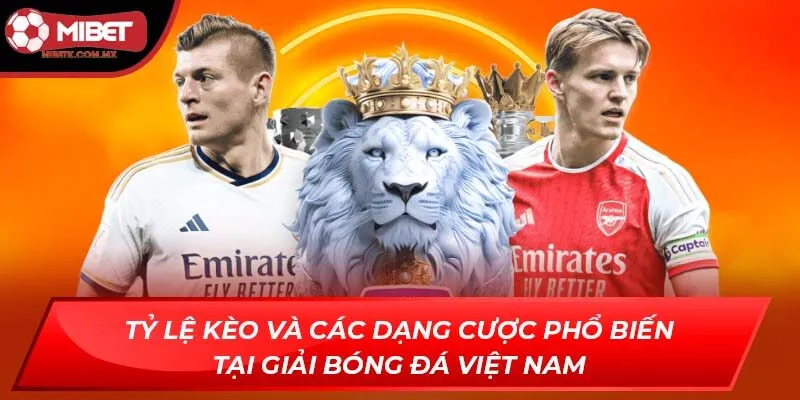giải bóng đá Việt Nam