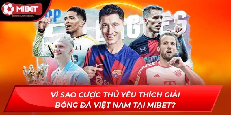 giải bóng đá Việt Nam