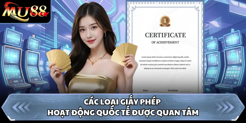 Các loại giấy phép hoạt động quốc tế được quan tâm