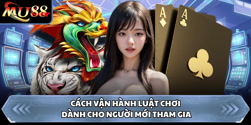 Cách vận hành luật chơi dành cho người mới tham gia