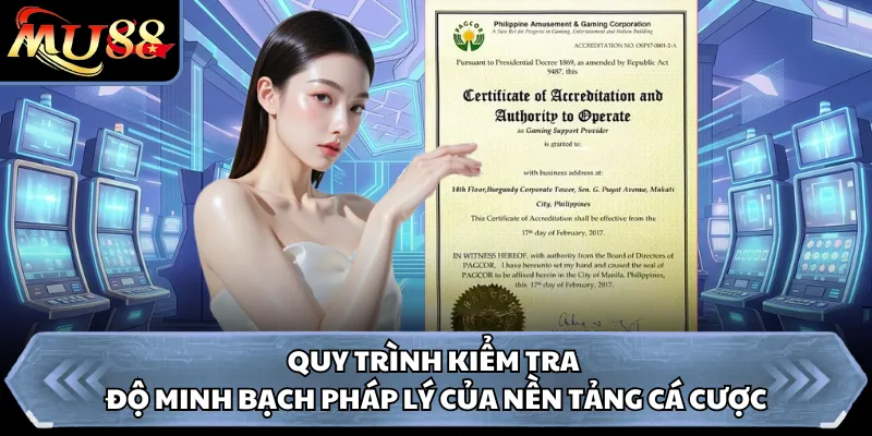 Quy trình kiểm tra độ minh bạch pháp lý của nền tảng cá cược
